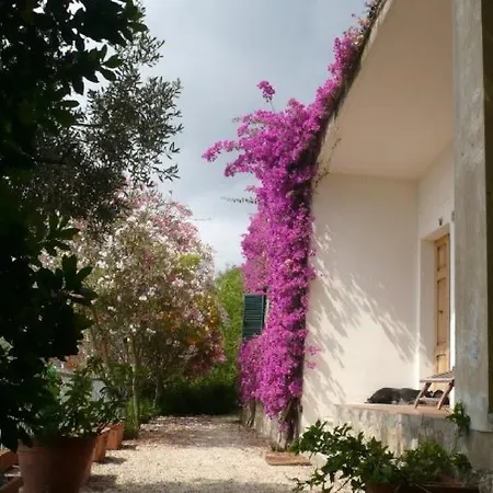 Clelia - Con 2 Kajak A Disposizione Ospiti Porto Azzurro